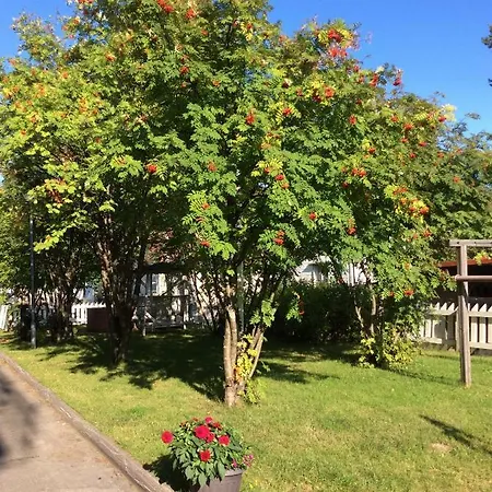 Polaris Homes For Διαμέρισμα